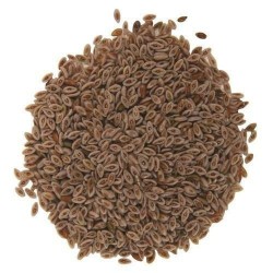 Isabgol Seed